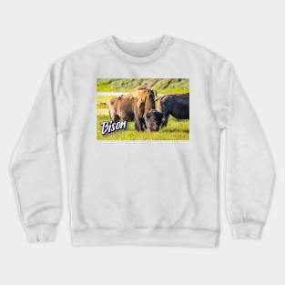 Bison at Yellowstone Crewneck Sweatshirt